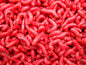 Red Maggots - 1 Gallon