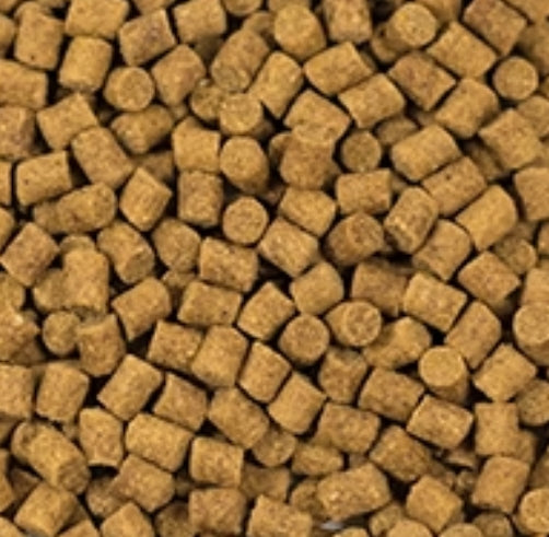 Skretting Coarse Fish Feed Pellets 25kg | Bulk Fishing Pellets UK