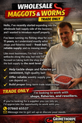 Wholesale Fresh Maggots – Trade Supply